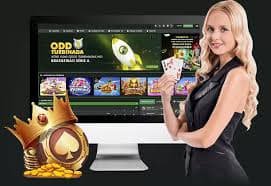 ufar8 Live Bingo ပွဲများ မြန်မာဆုကြေးများ